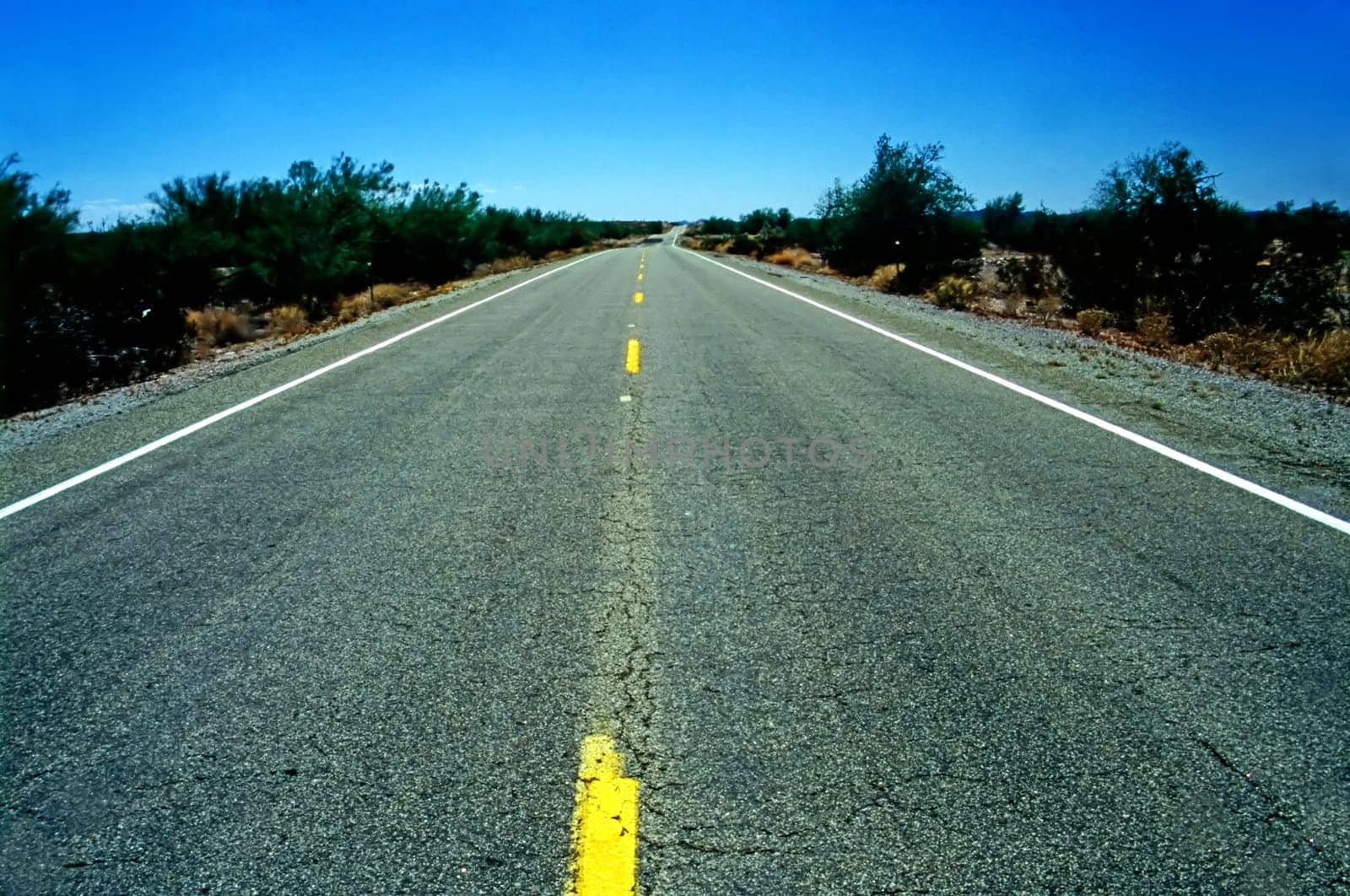 Country two-way road in Arizona