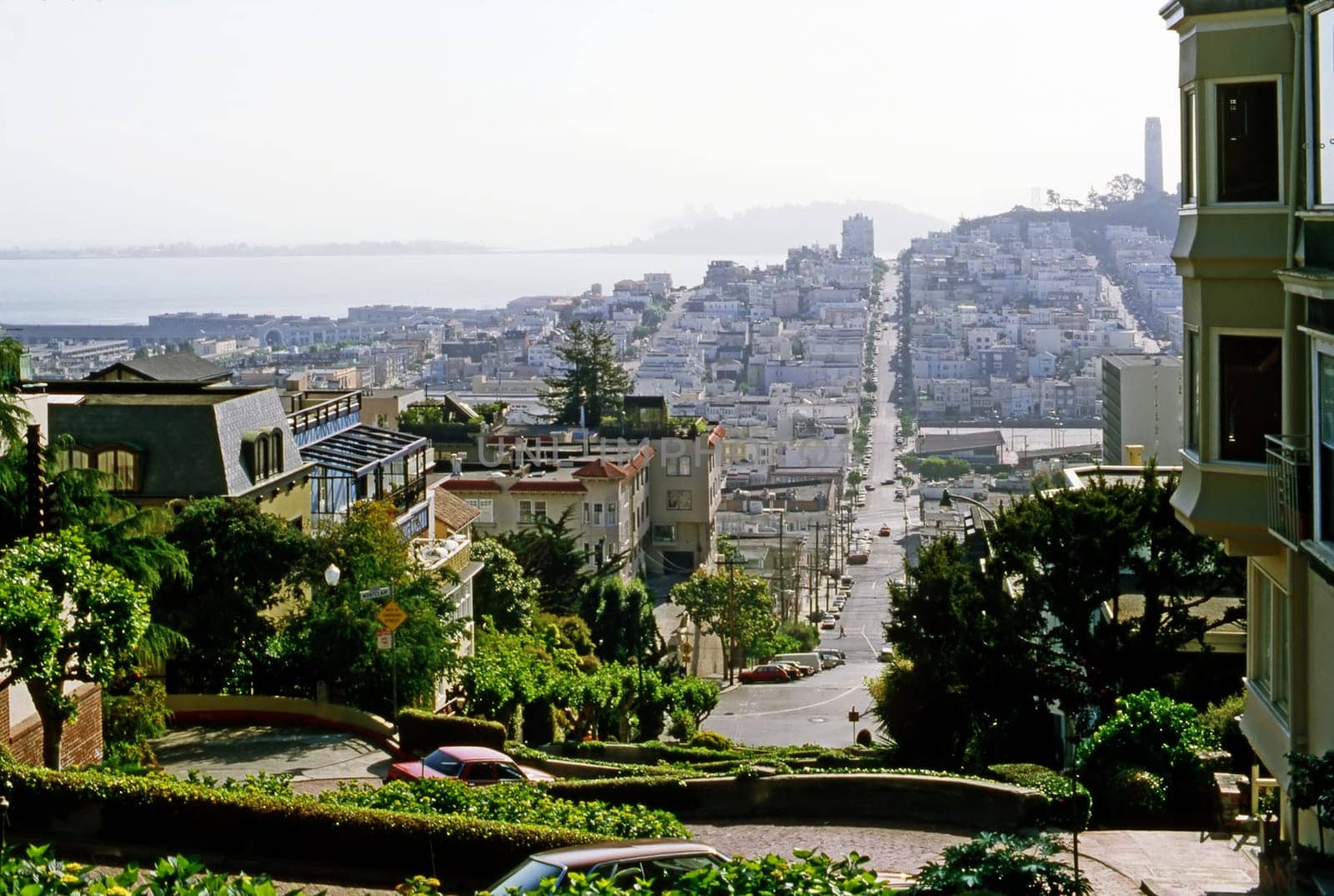 View of San Francisco with Lombard street and Telegraph Hill