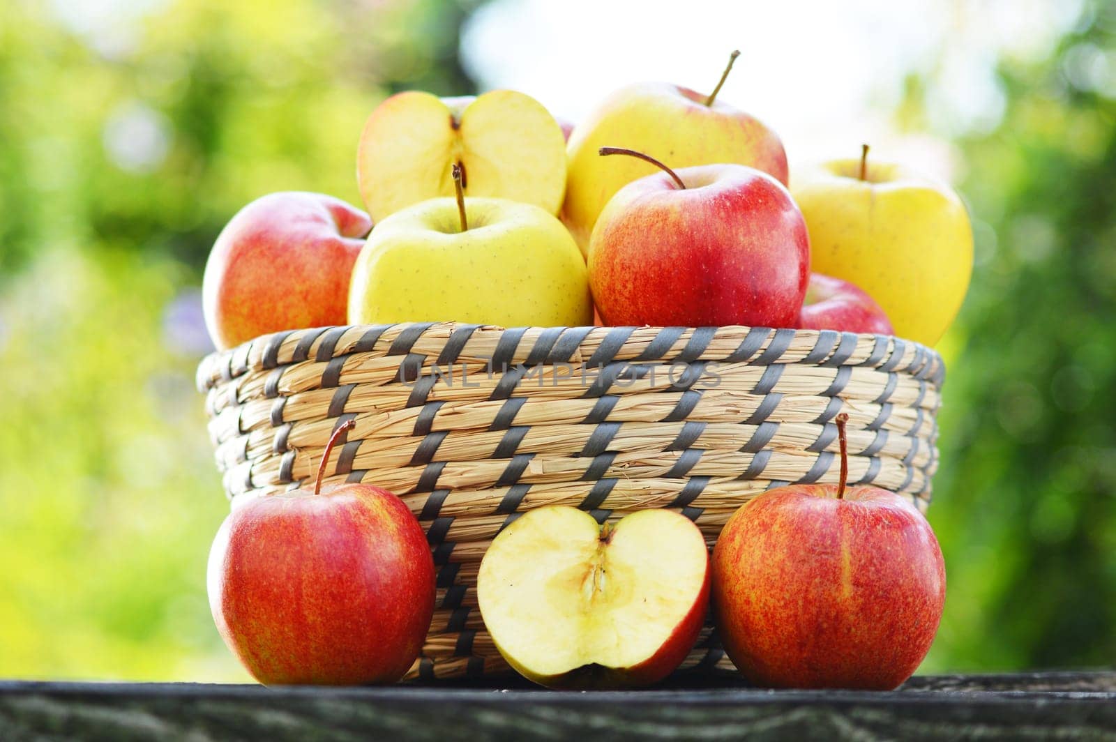 Organic apples in the garden. Balanced diet.
