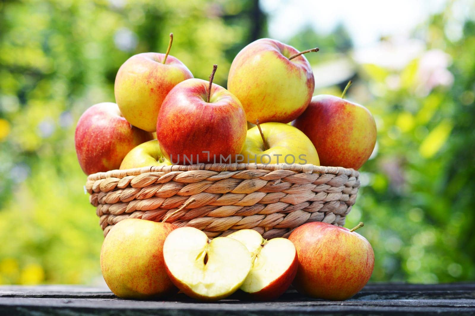 Organic apples in the garden. Balanced diet.
