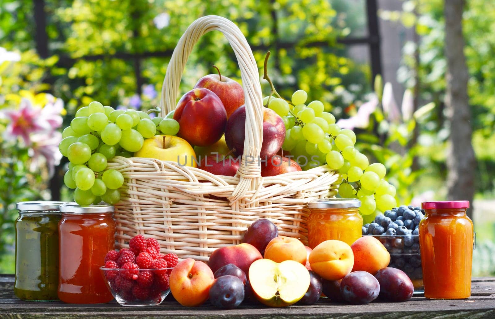 Fresh ripe organic fruits in the garden. Balanced diet.