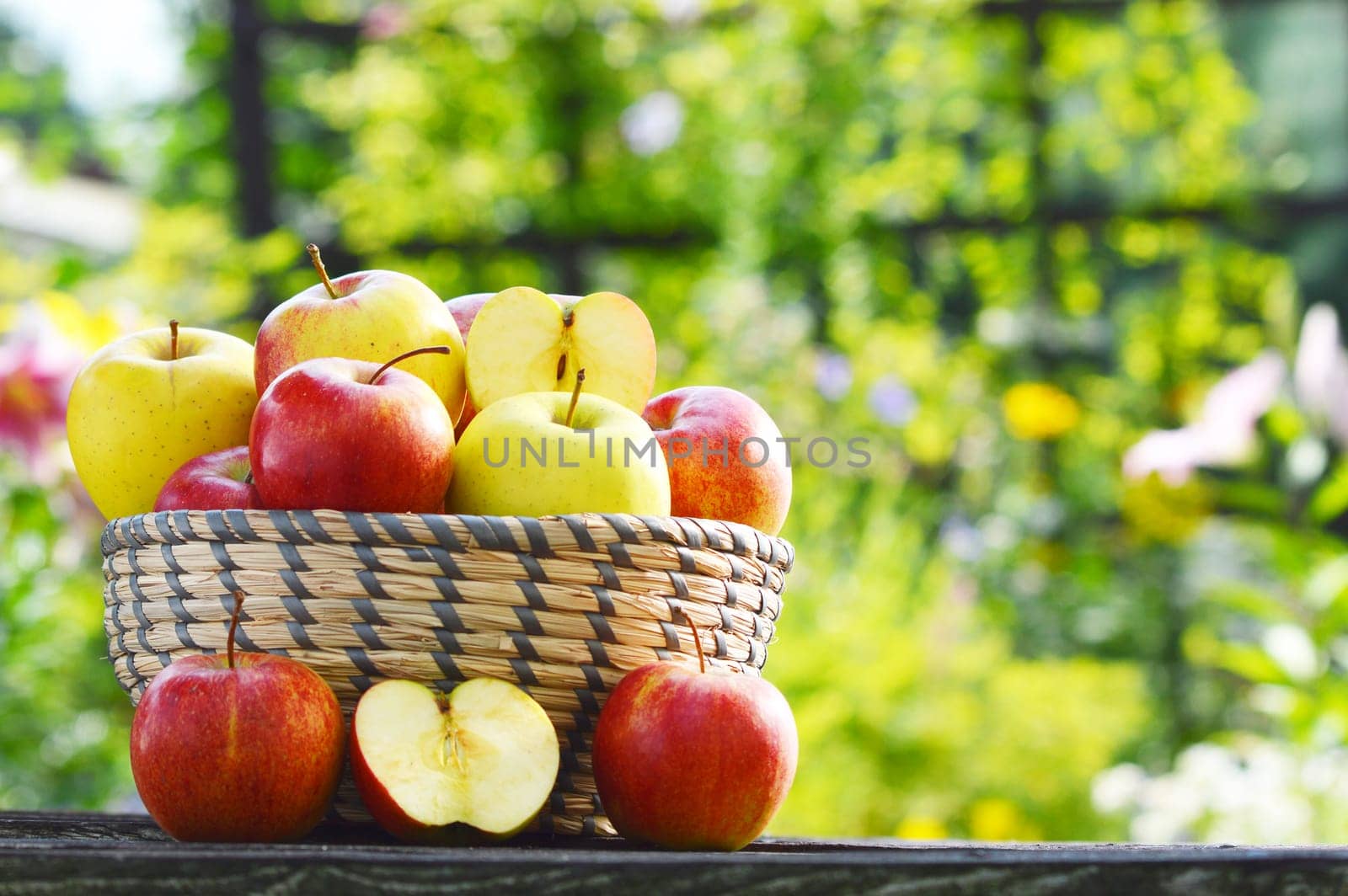 Organic apples in the garden. Balanced diet.