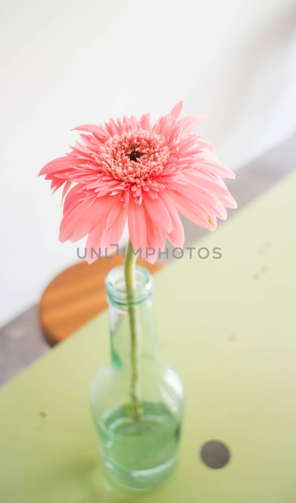 Beautiful gerbera flower in vase decorate table, stock photo