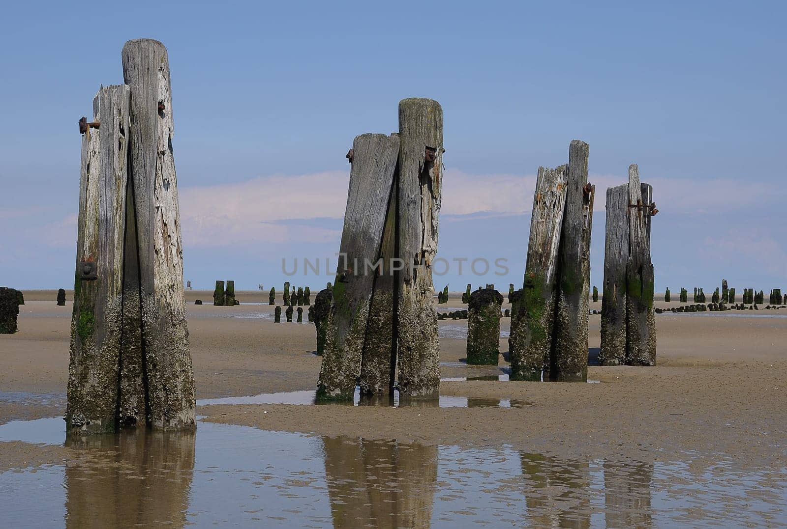 Pier