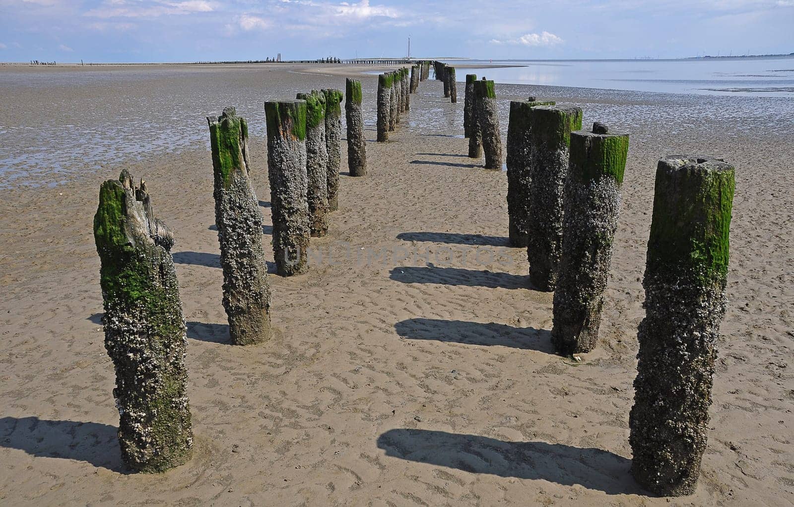 Wangerooge