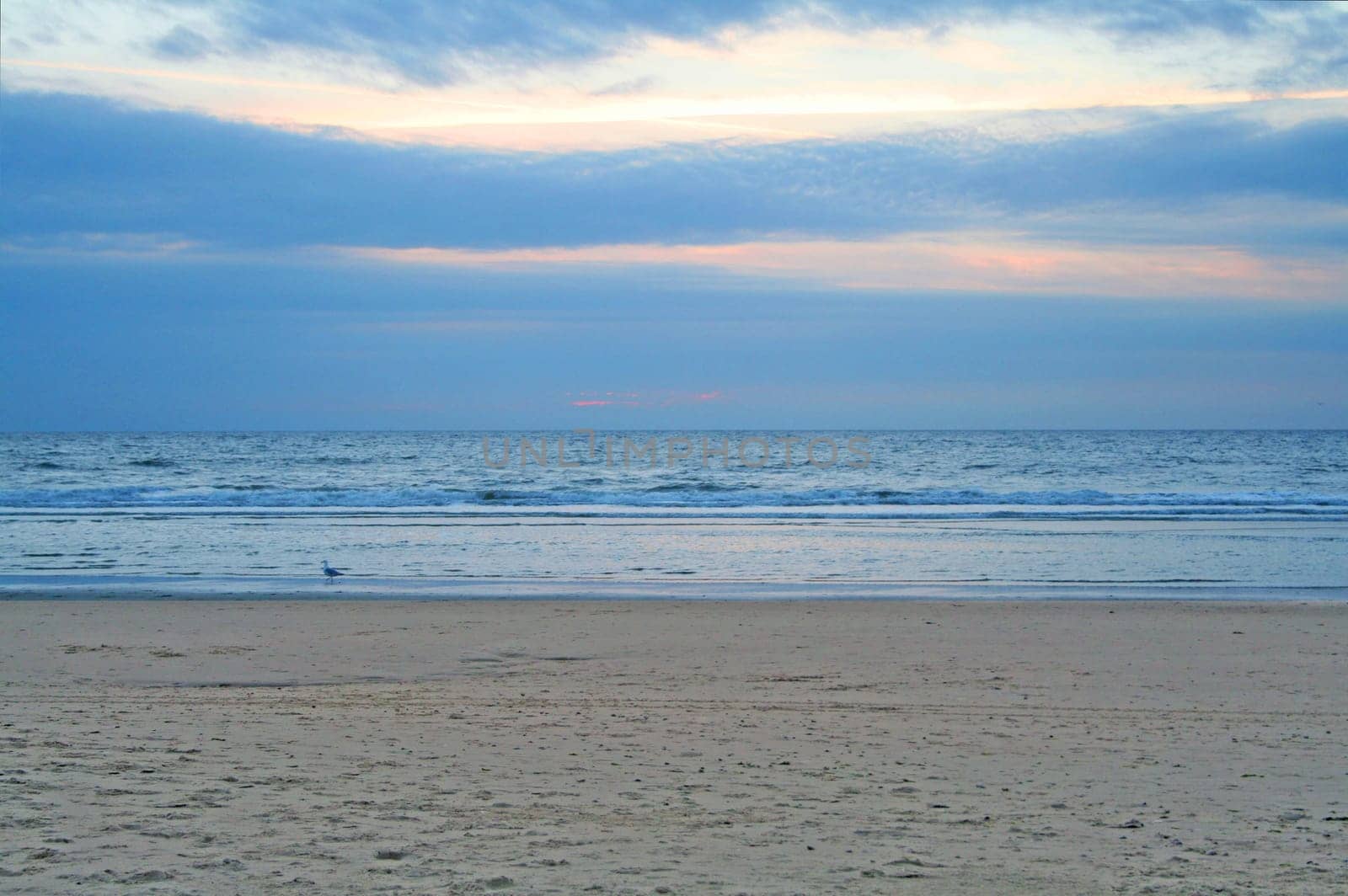 Evening at the beach Texel