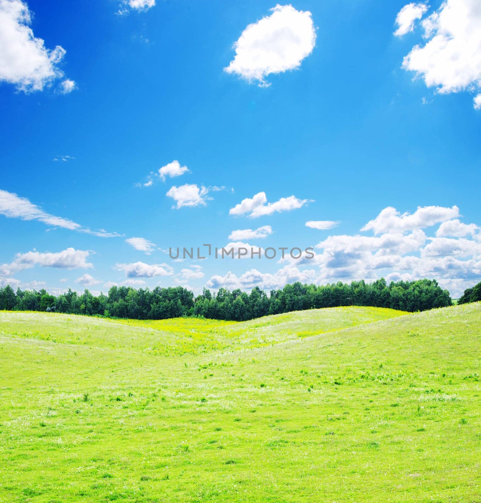 field on a background of the blue sky