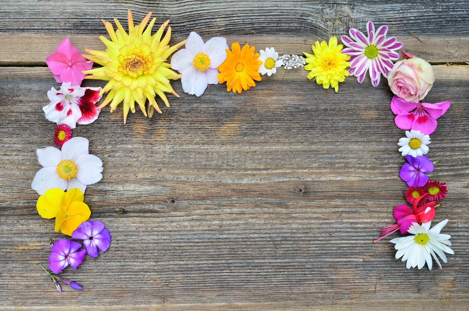 Flowering on wood