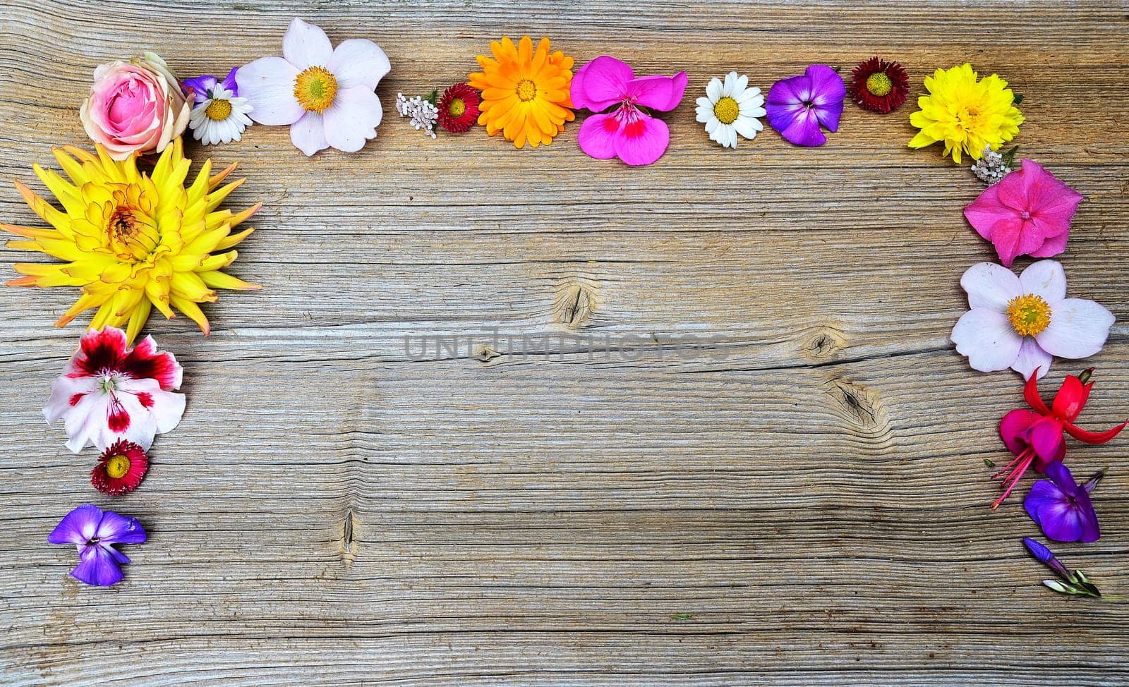 Flowering on wood