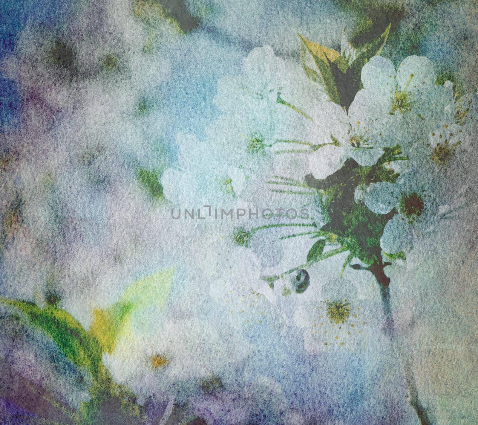 flowers paper retro watercolor