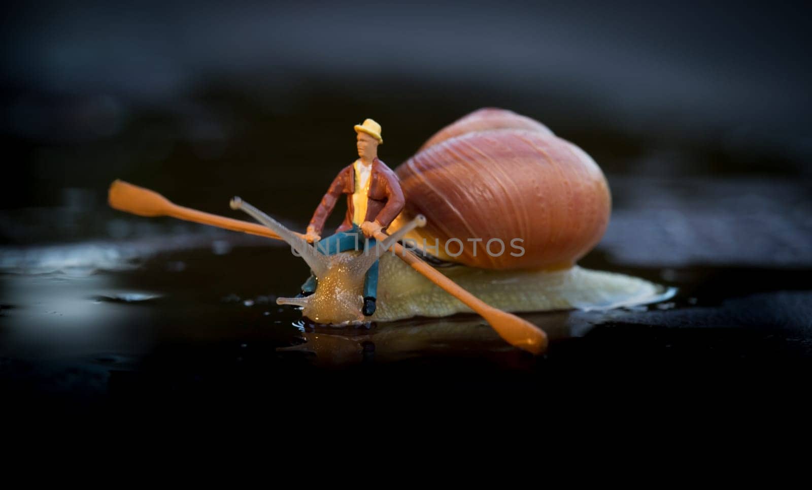Snail Ship