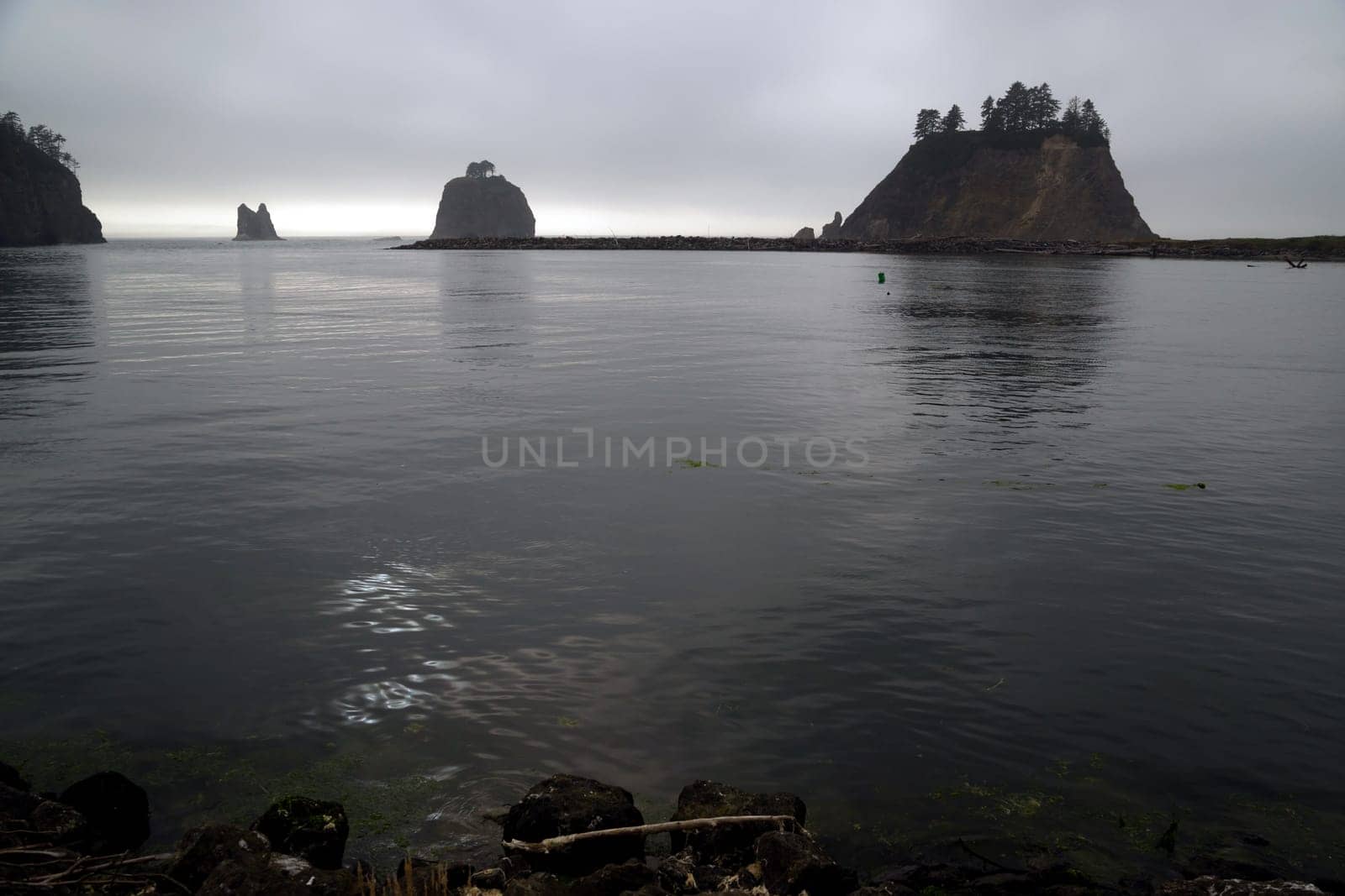 Fog just does not want to lift just before sunset looking out from first beach near LaPush, WA