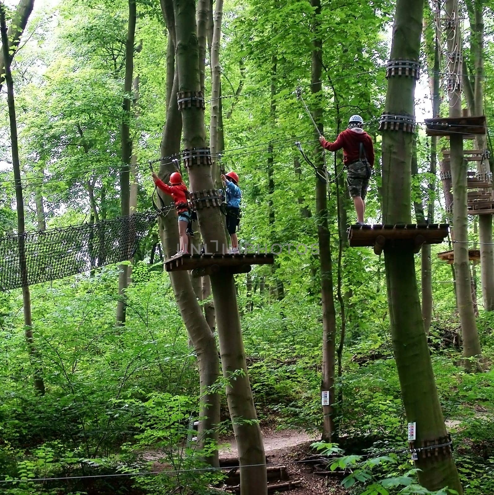 Schwerin,Germany – August 09,2012: The Schwerin climbing forest with obstacle course in the middle of trees and people in protective gear on August 9,2012 in Schwerin.