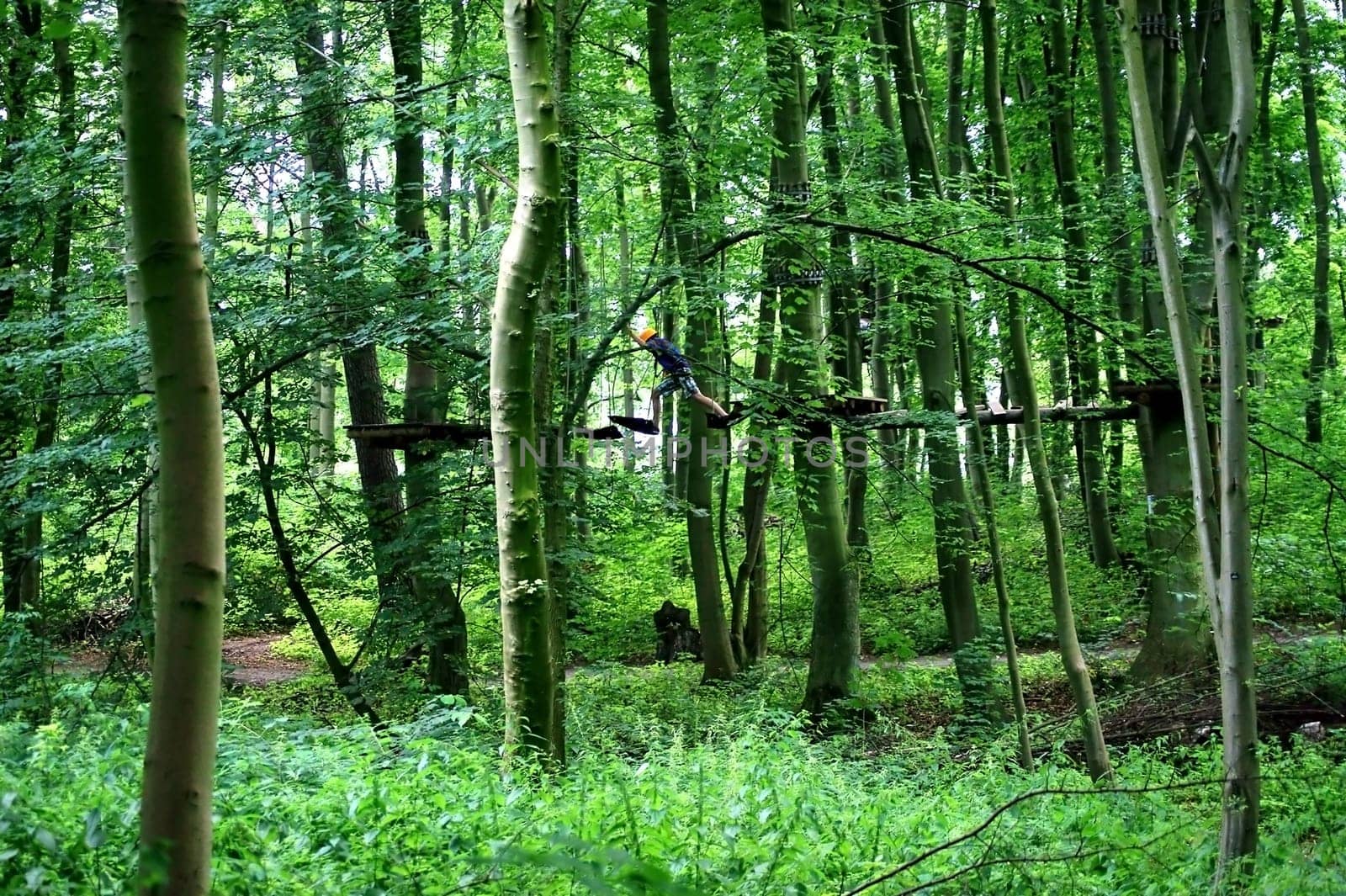 Schwerin,Germany – August 09,2012: The Schwerin climbing forest with obstacle course in the middle of trees and people in protective gear on August 9,2012 in Schwerin.
