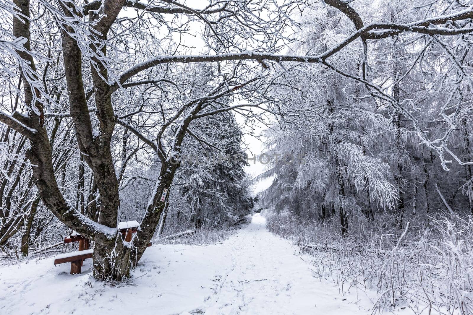 Winter on the Wasserkuppe in the Rhön