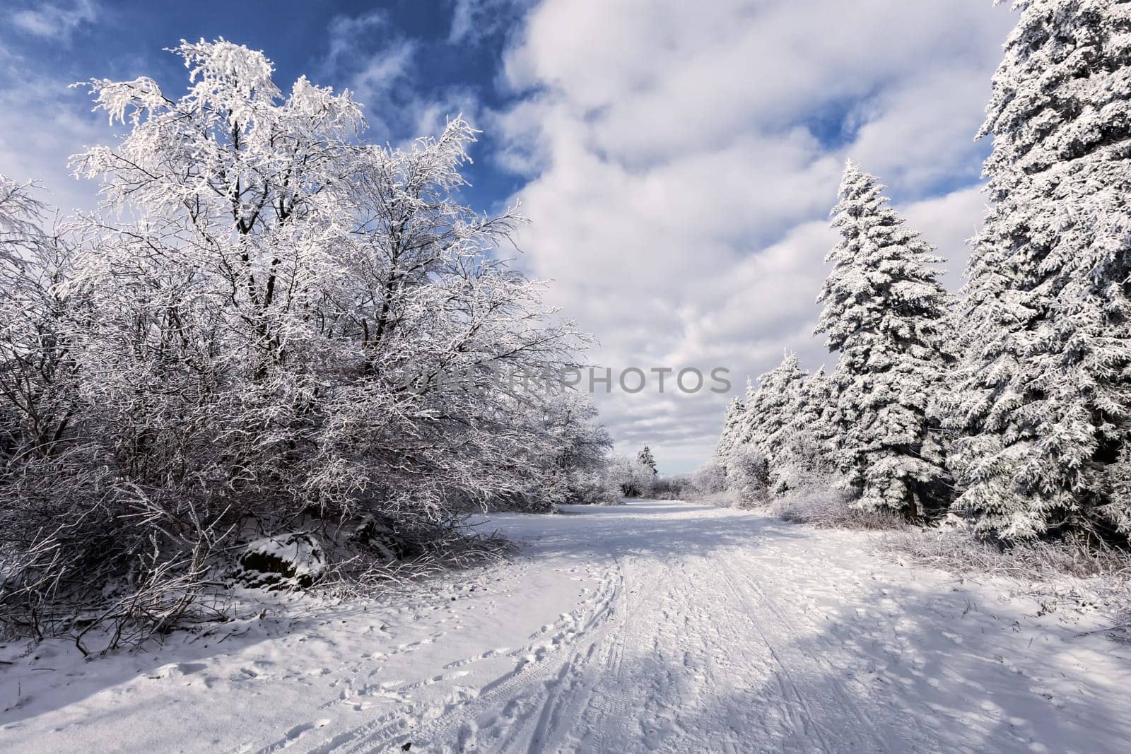 Winter on the Wasserkuppe in the Rhön