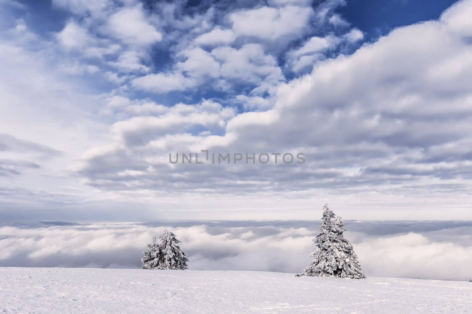 Winter on the Wasserkuppe in the Rhön