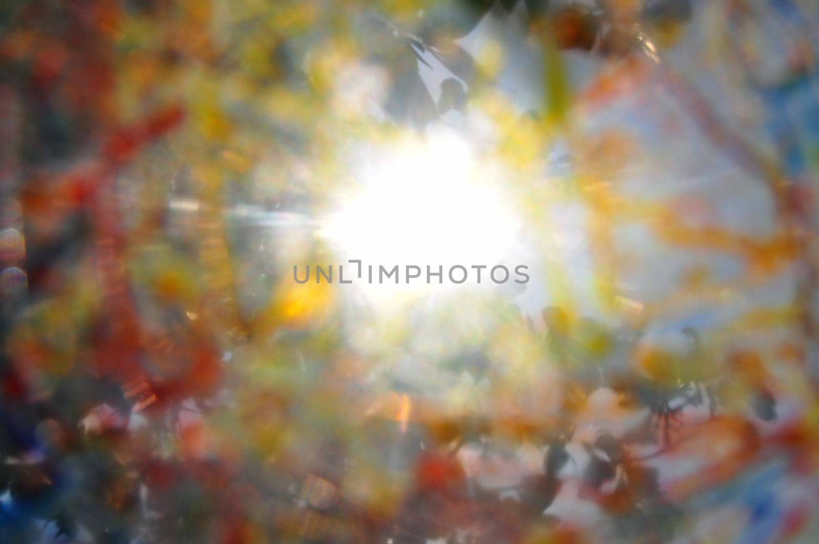 Sun shining through tree branches colorful paint smudged blurry abstraction.