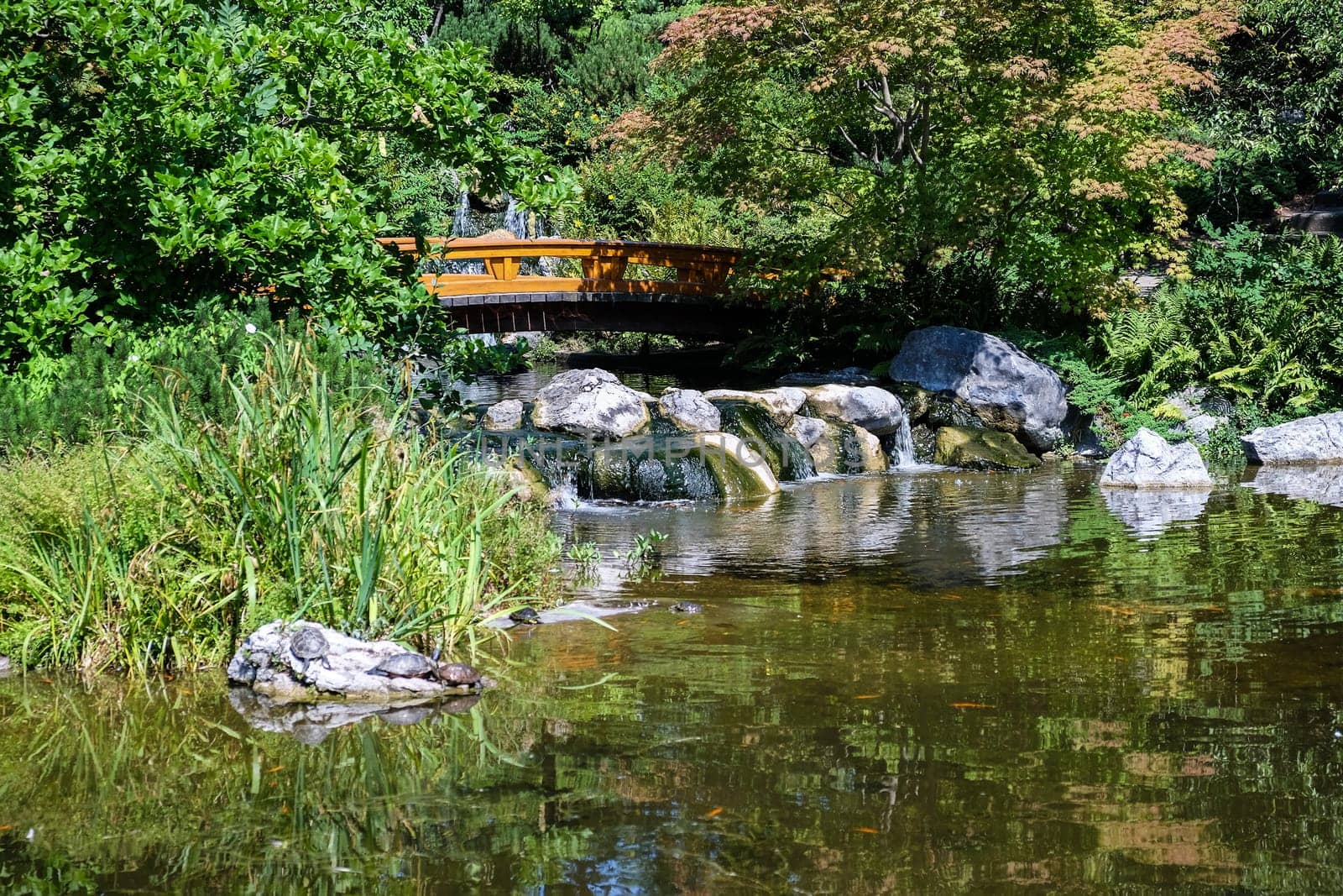 Japanese garden,landscape with pond and plants