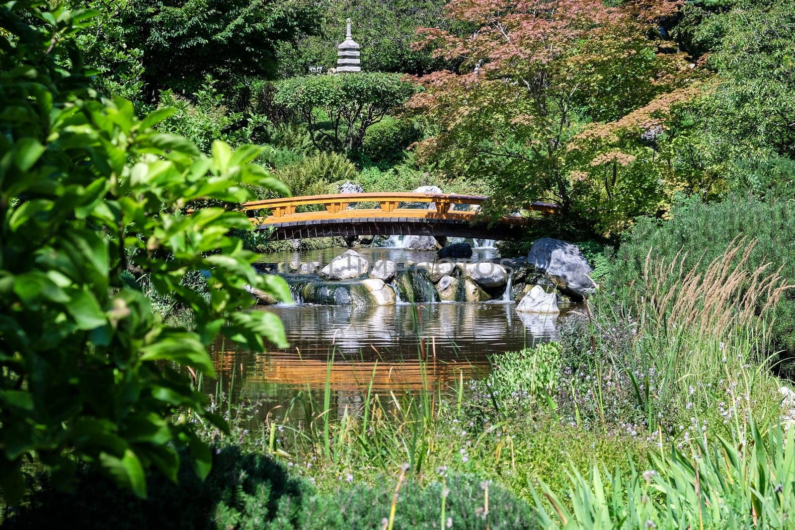 Japanese garden,landscape with pond and plants