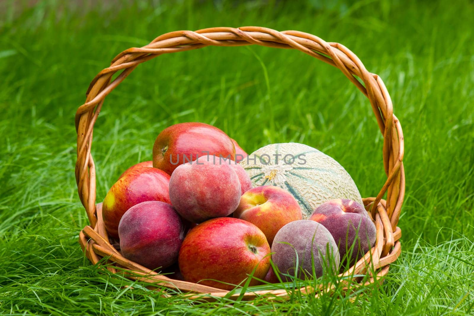 fruits in a basket in summer grass