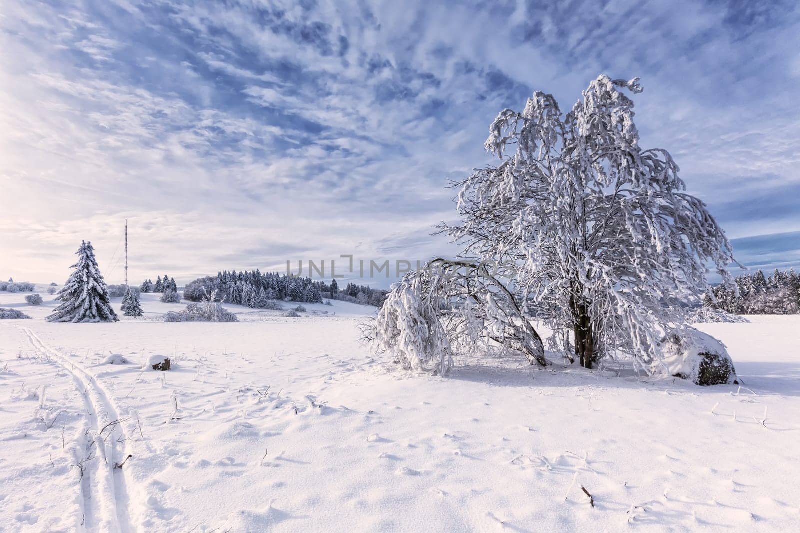 At heidelstein in the Rhön