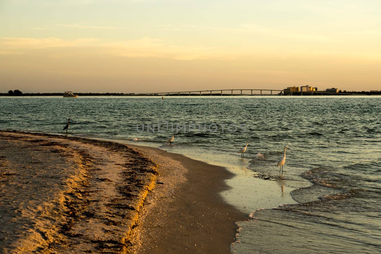 Sunrise in Sanibel Island, Florida in Summer.
