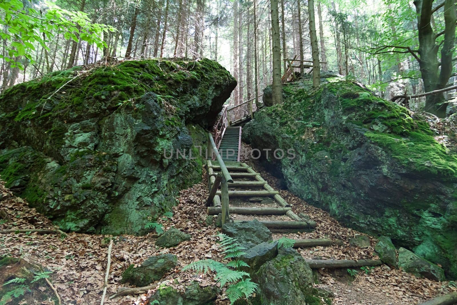 A wooden staircase in the forest near Tabarz