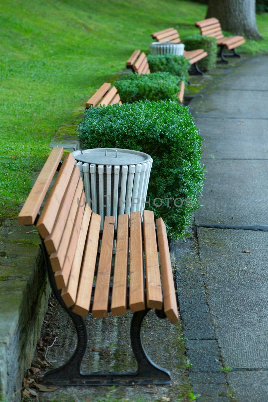 Park benches stand in the arch at a park path