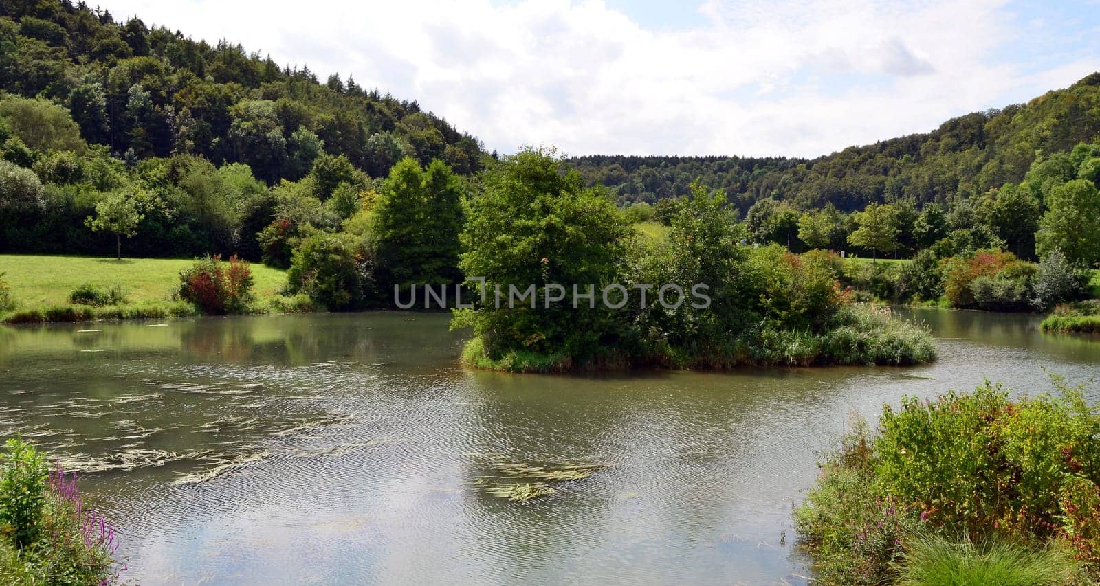 Animal paradise in the Altmühl tal