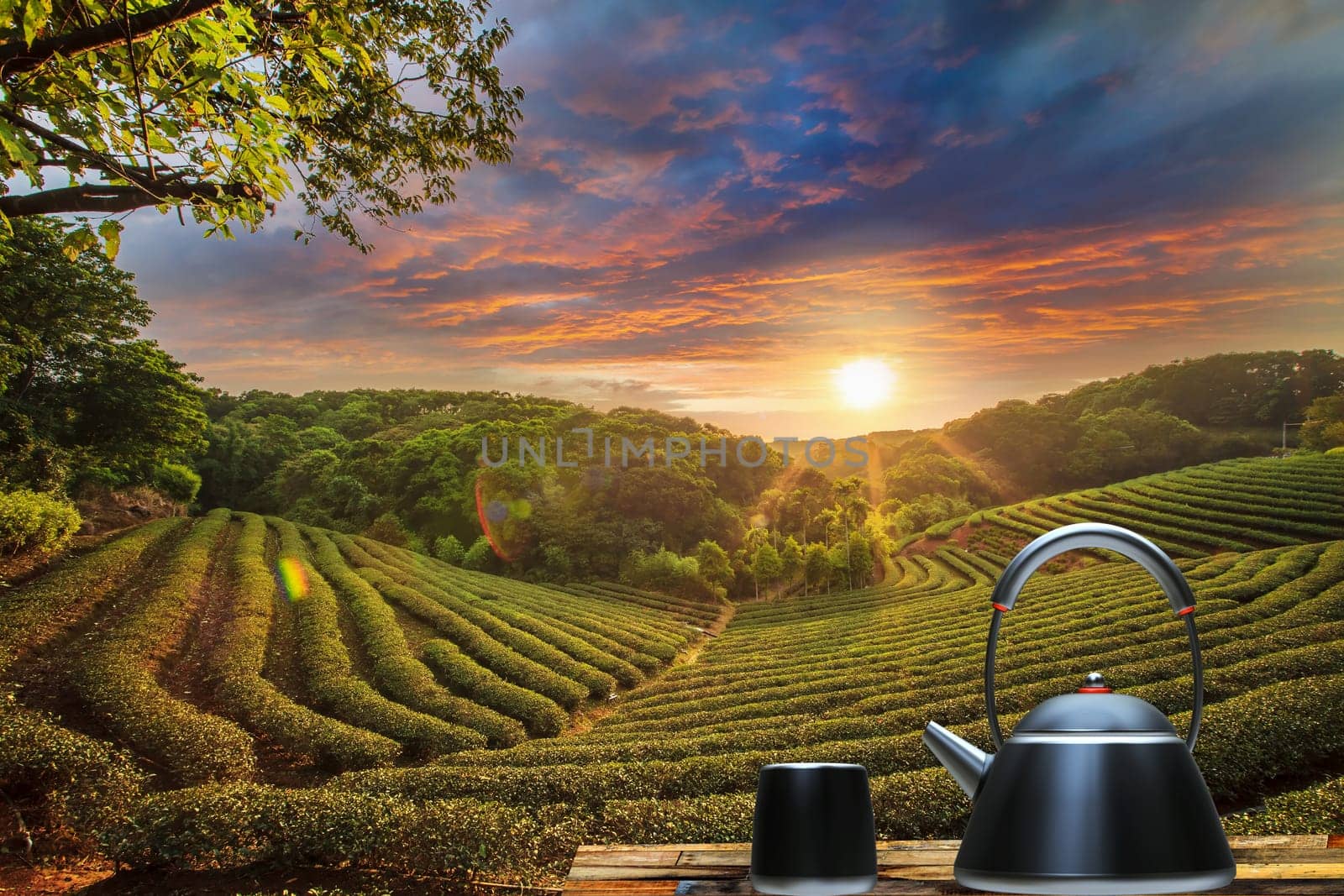 Cup of tea and mint with nice background for adv or others purpose use