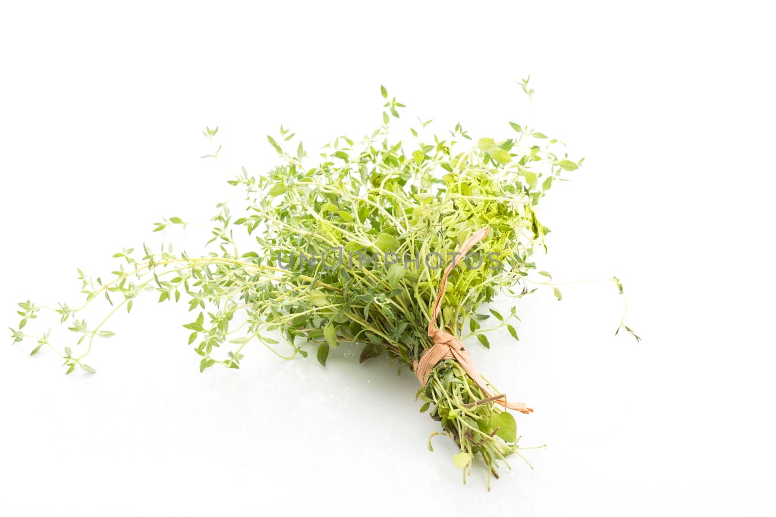 Thyme