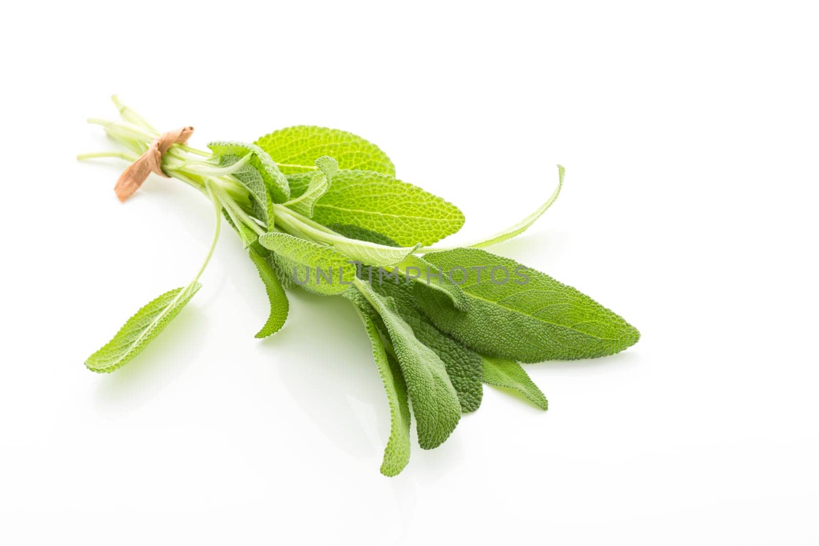 Sage