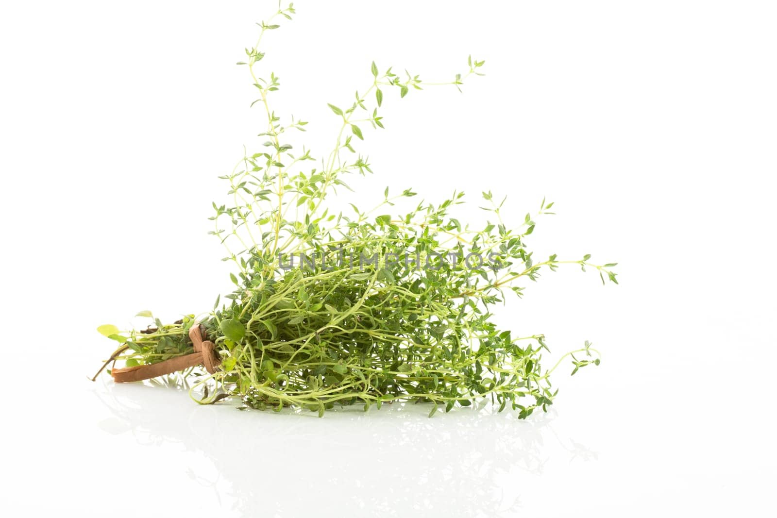 Thyme