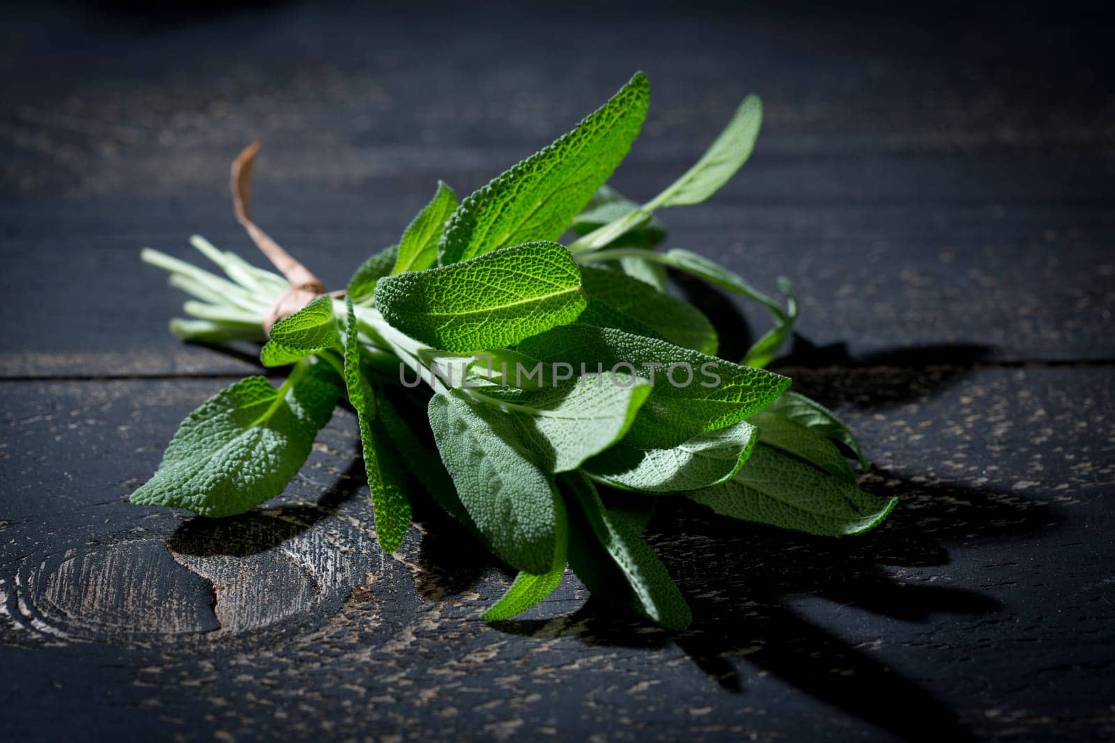 Sage