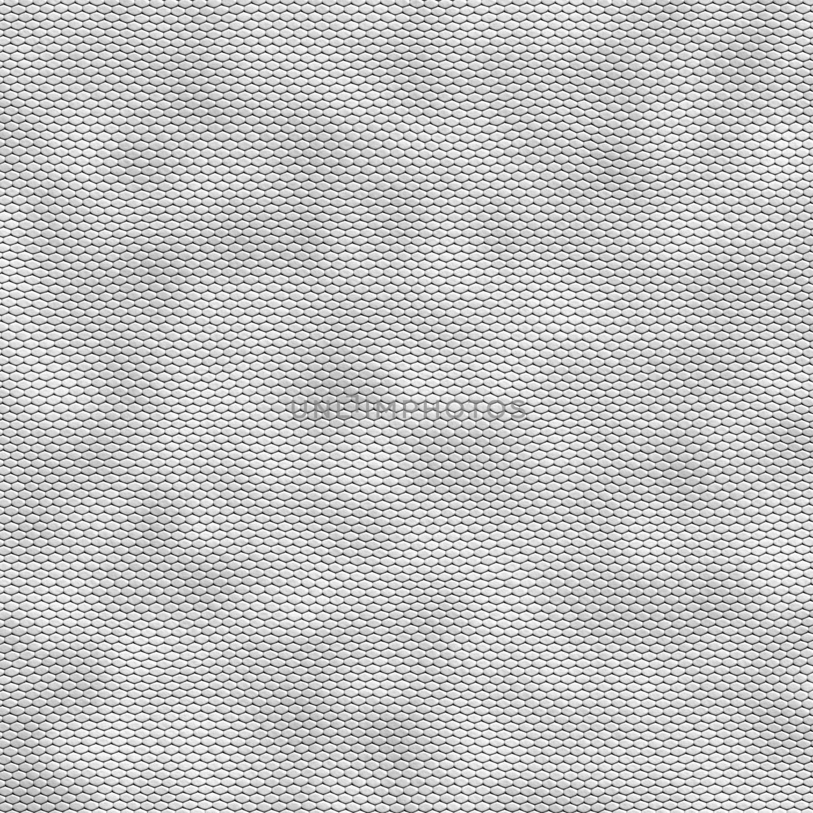 white leather background snake