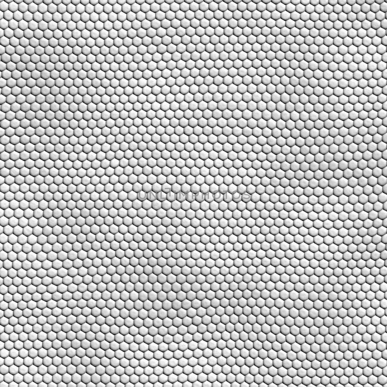 seamless white snakeskin texture
