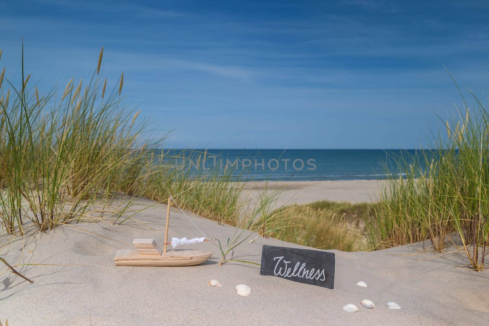 by the sea