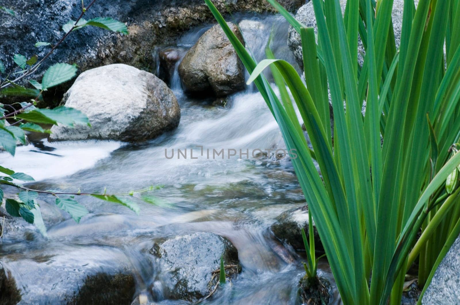 small waterfall with large stei blocks and plants in the foreground