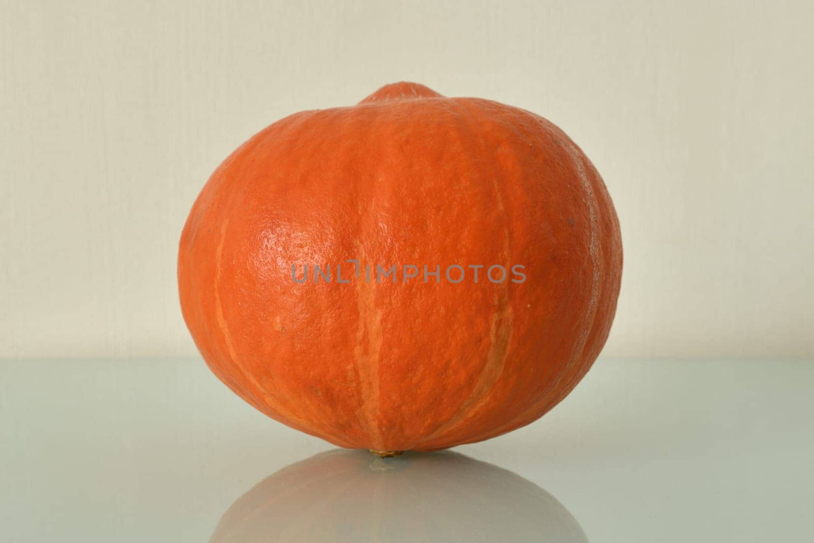 Orange pumpkin with reflection on smooth surface