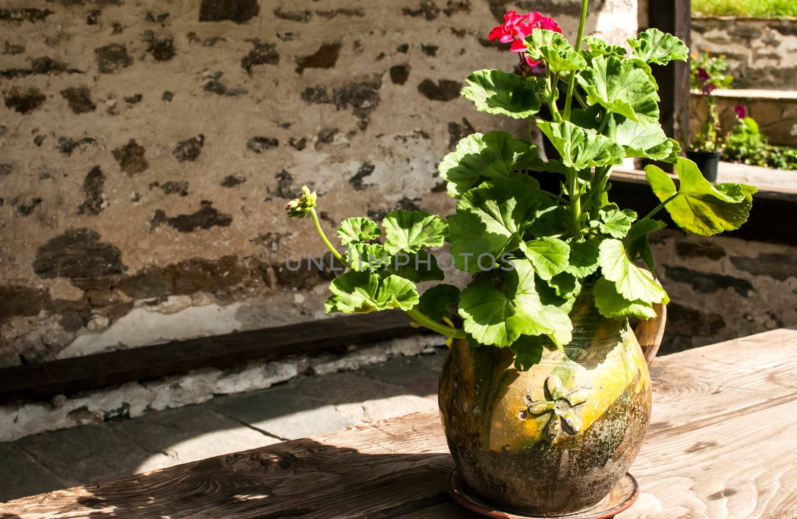Ceramic flowerpot with geraniums in front of stone church shelter