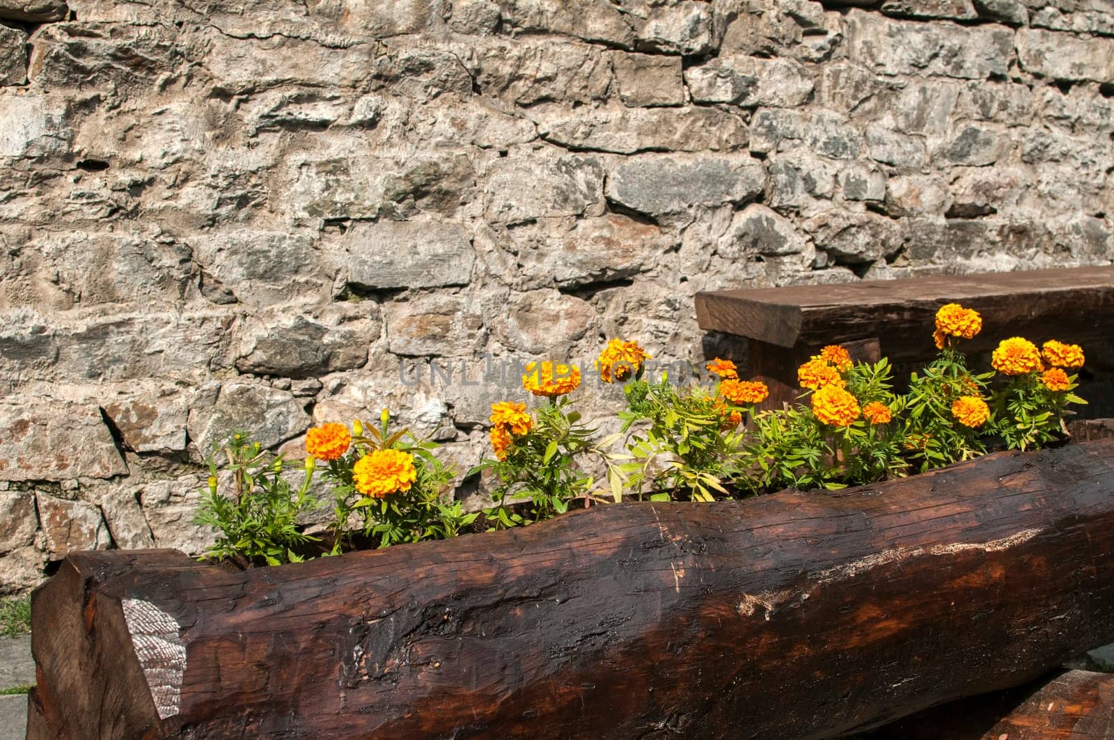 Wooden handmade flowerpot and bench on stonewall background