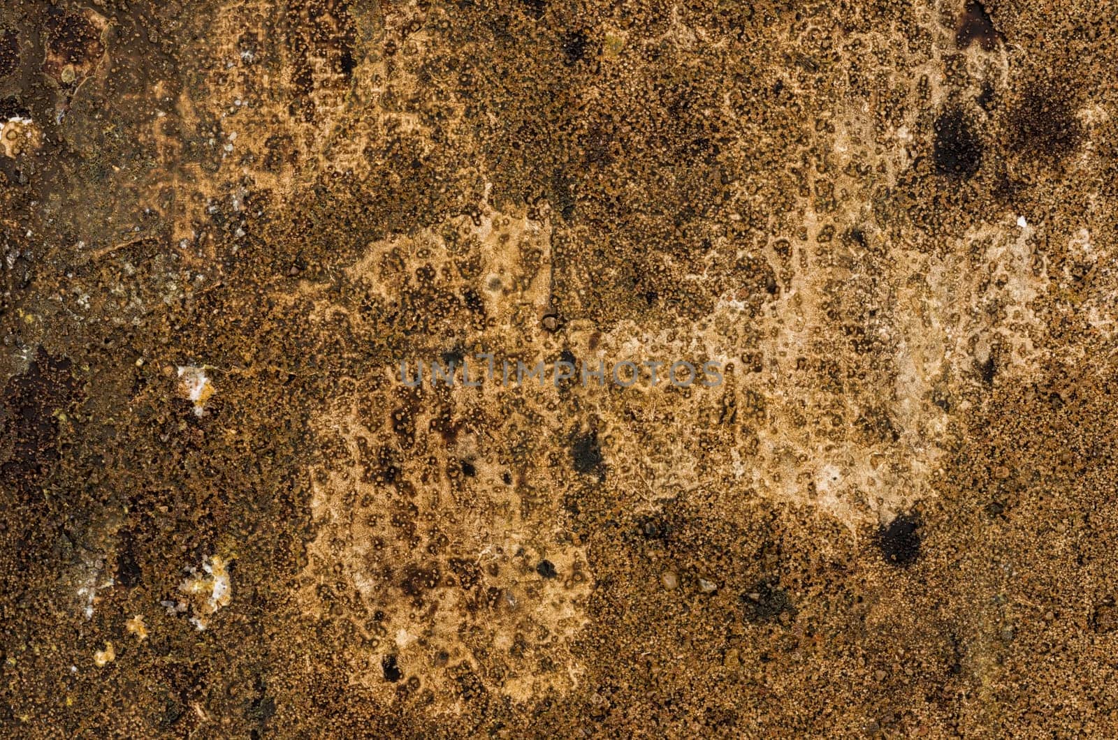 Detailed view of a canvas with acrylic paint and sand