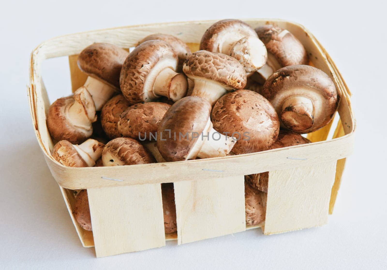raw mushrooms (champignons) on a white table