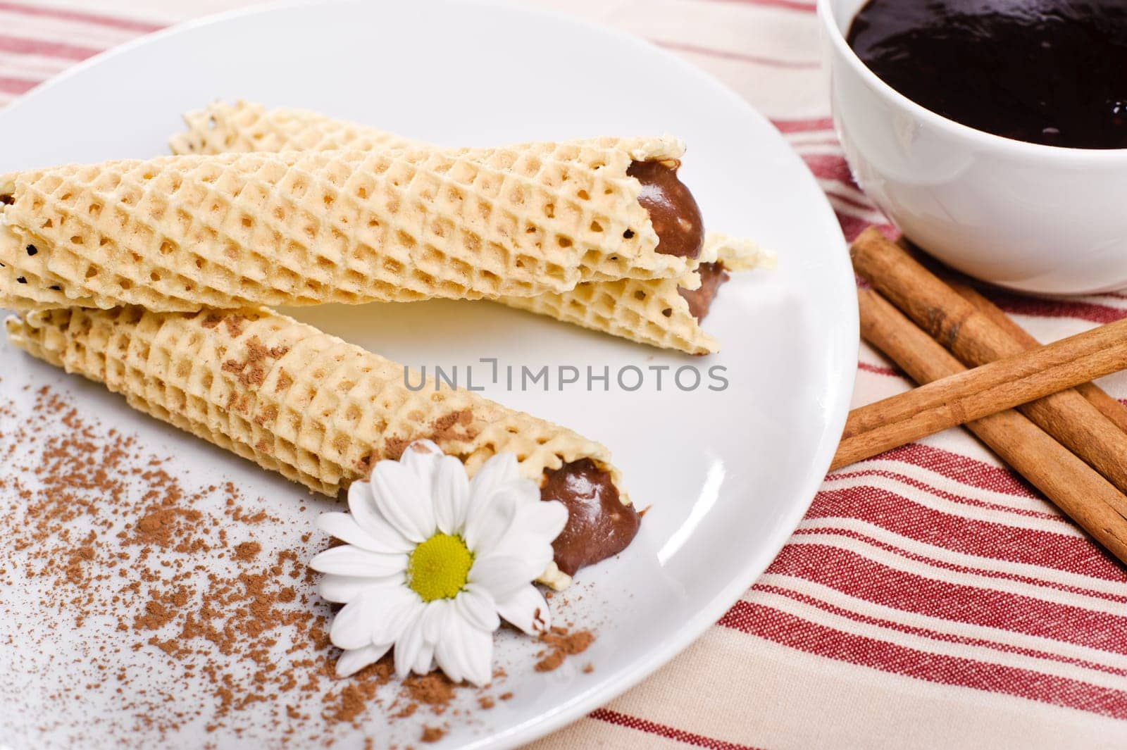 Piece of cake with chokolate on white plate