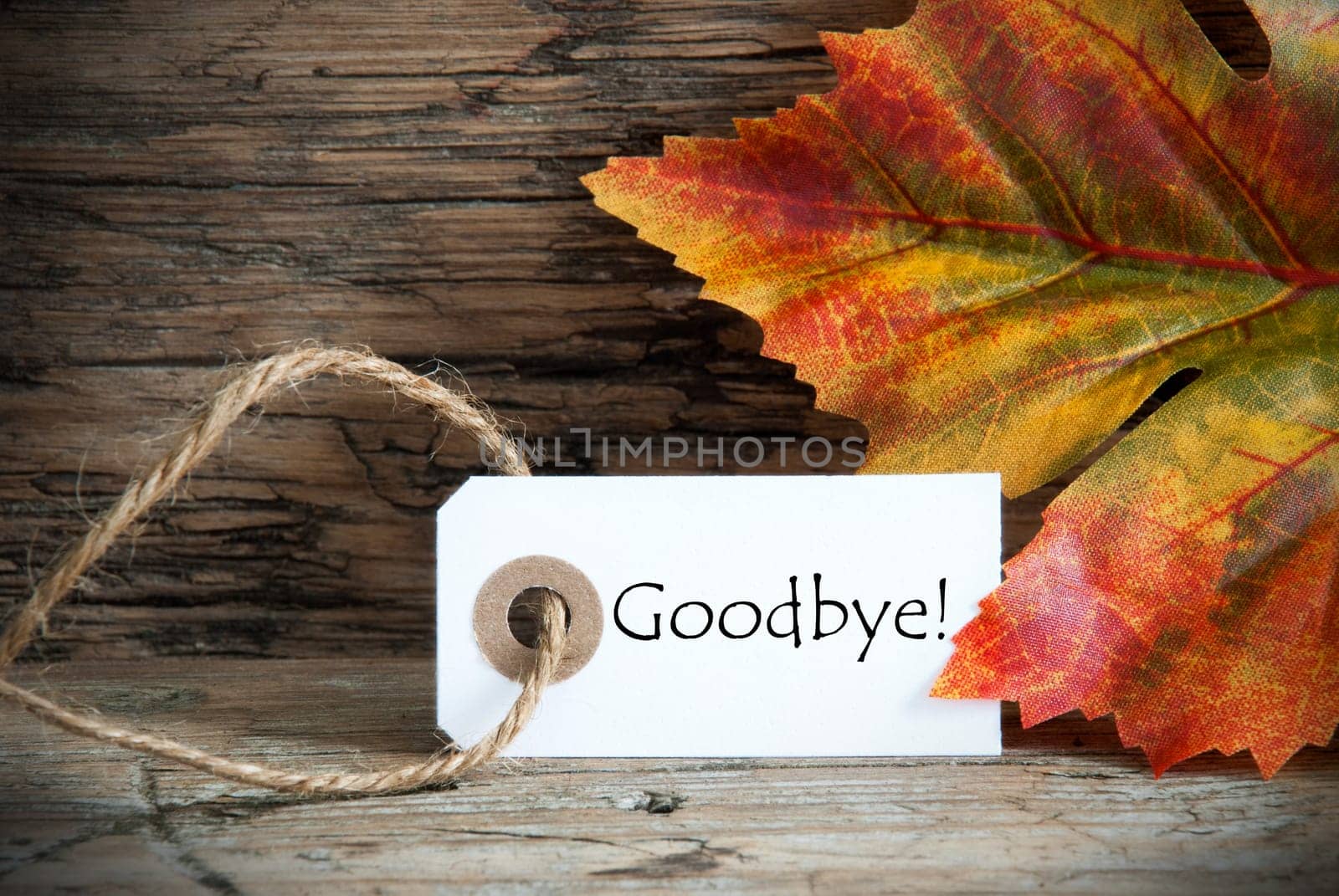 A Autumnal Background with a Label on which stands Goodbye