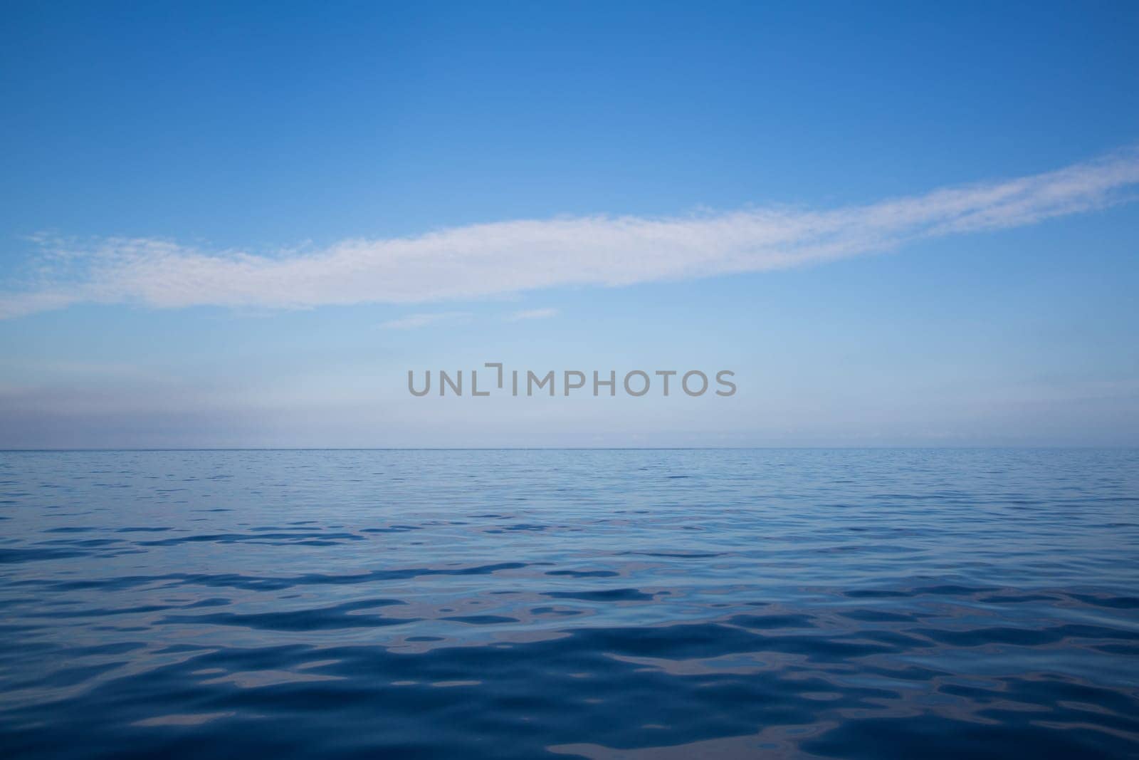 Ocean