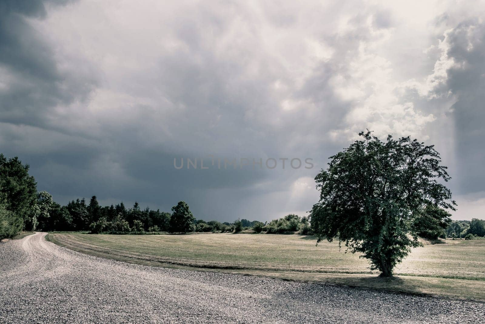 Green fields and cloudy weather
