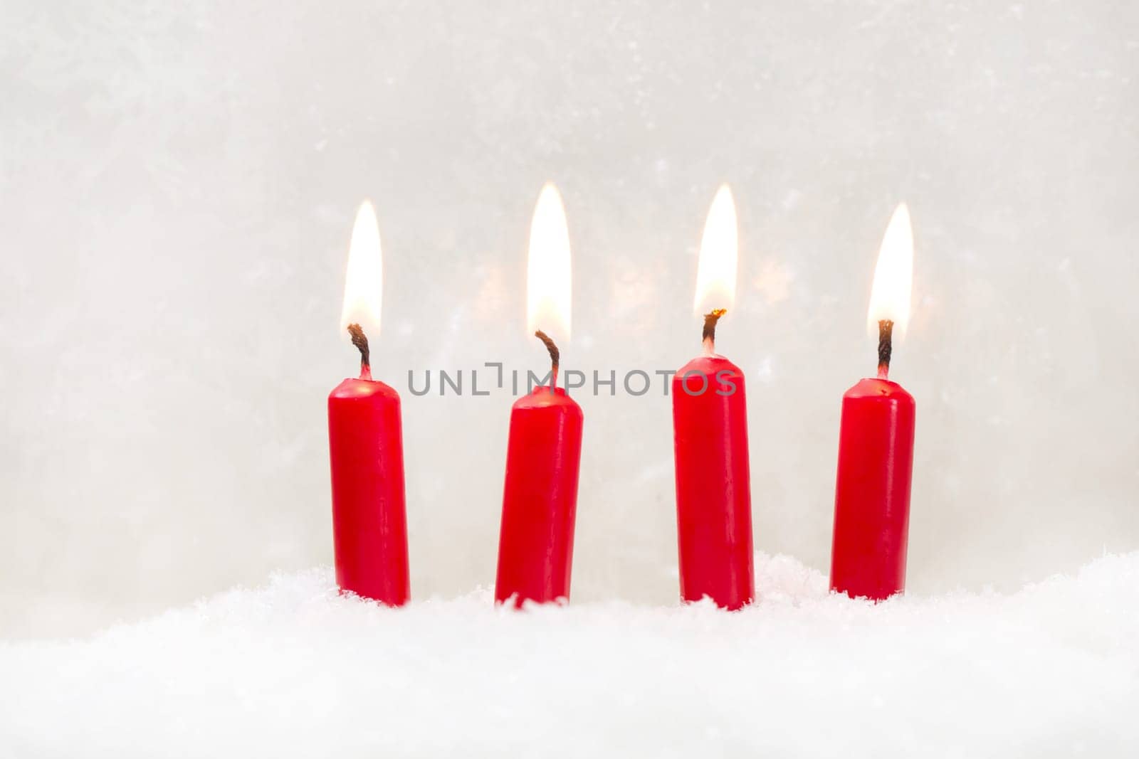Four red candle on white background first the first advent of christmas