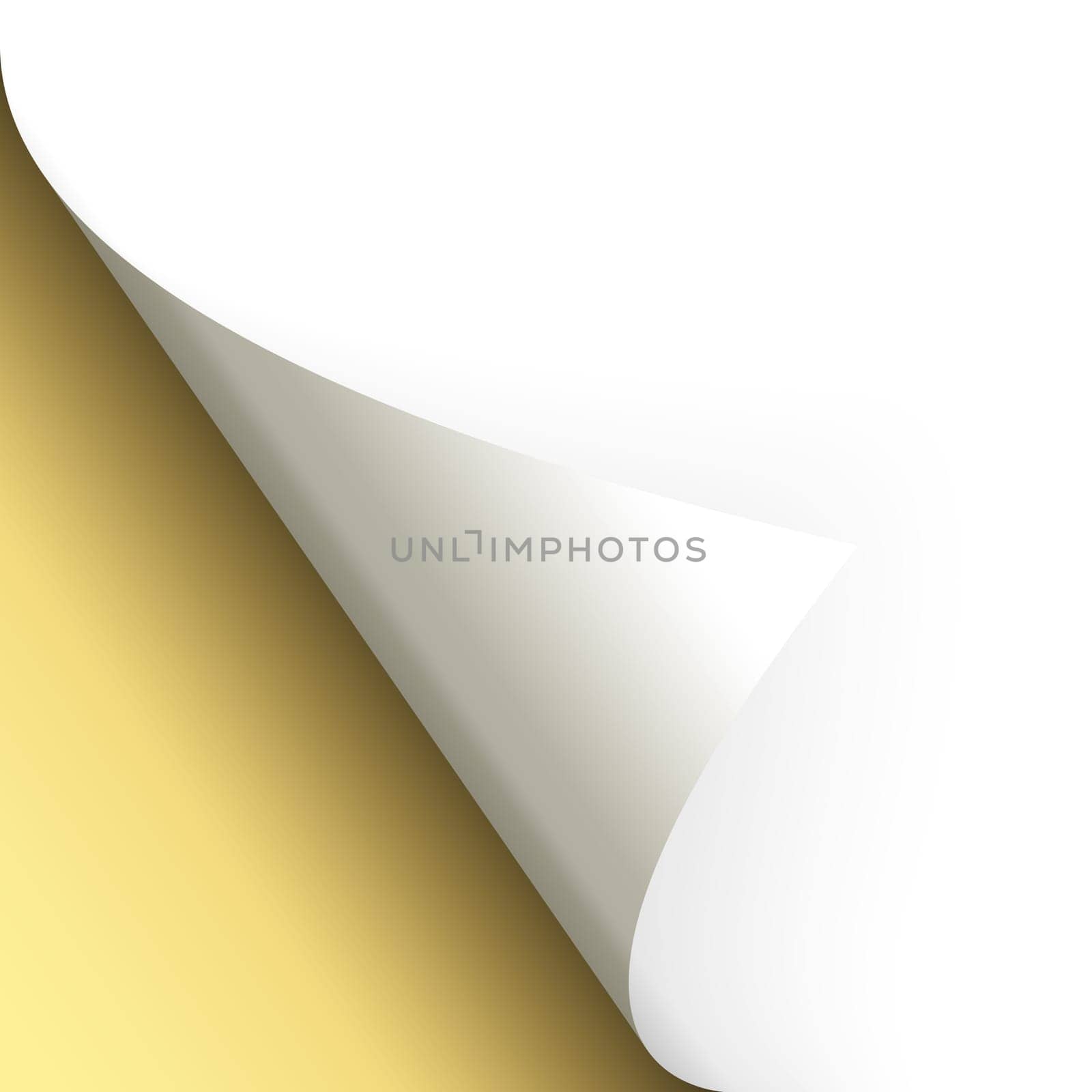 Paper / page wrap slamming bottom left gold